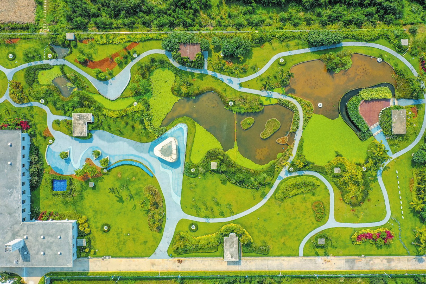 海口江东新区:提"质"增"颜"绘就宜居"新画卷"_新浪财经_新浪网