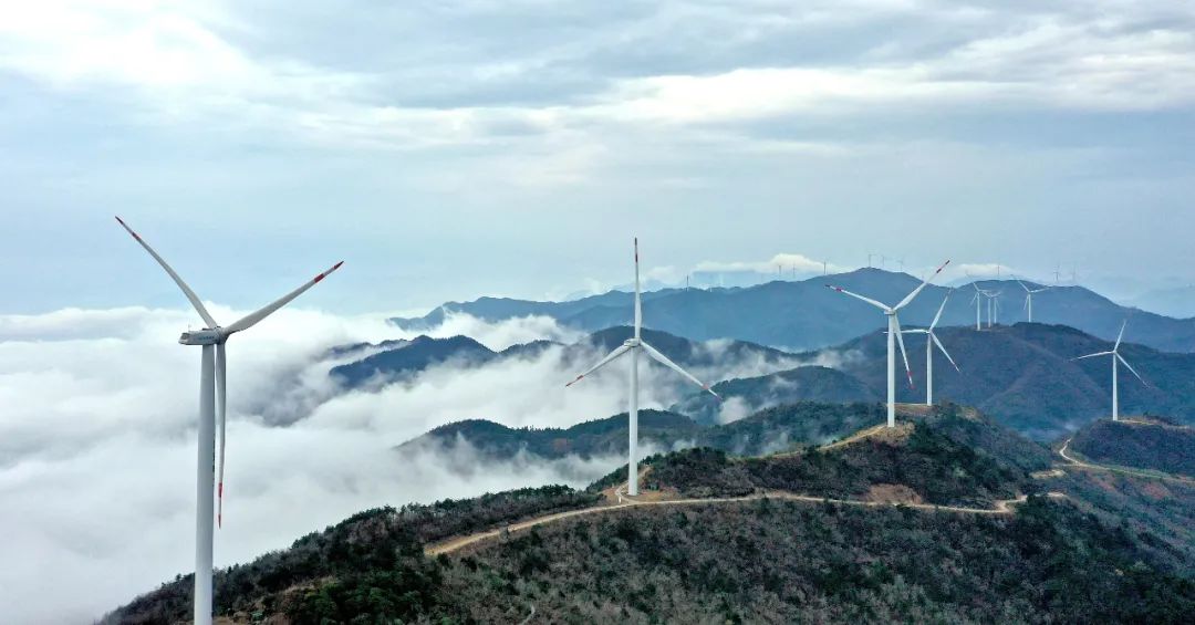 仙居县广度乡高山之巅风力发电场。图源 视觉中国