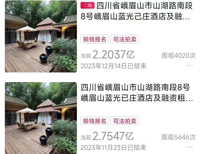 图片来源：阿里拍卖截图