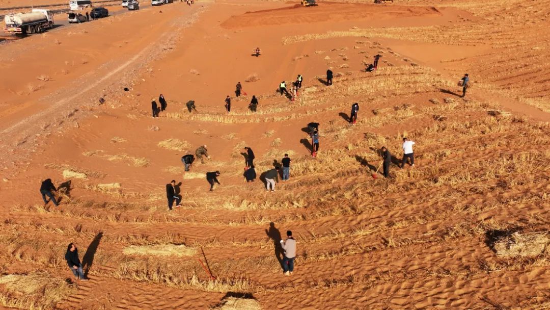 大漠春如许 沙海尽斑斓——来自腾格里沙漠治理一线的报道_新浪财经