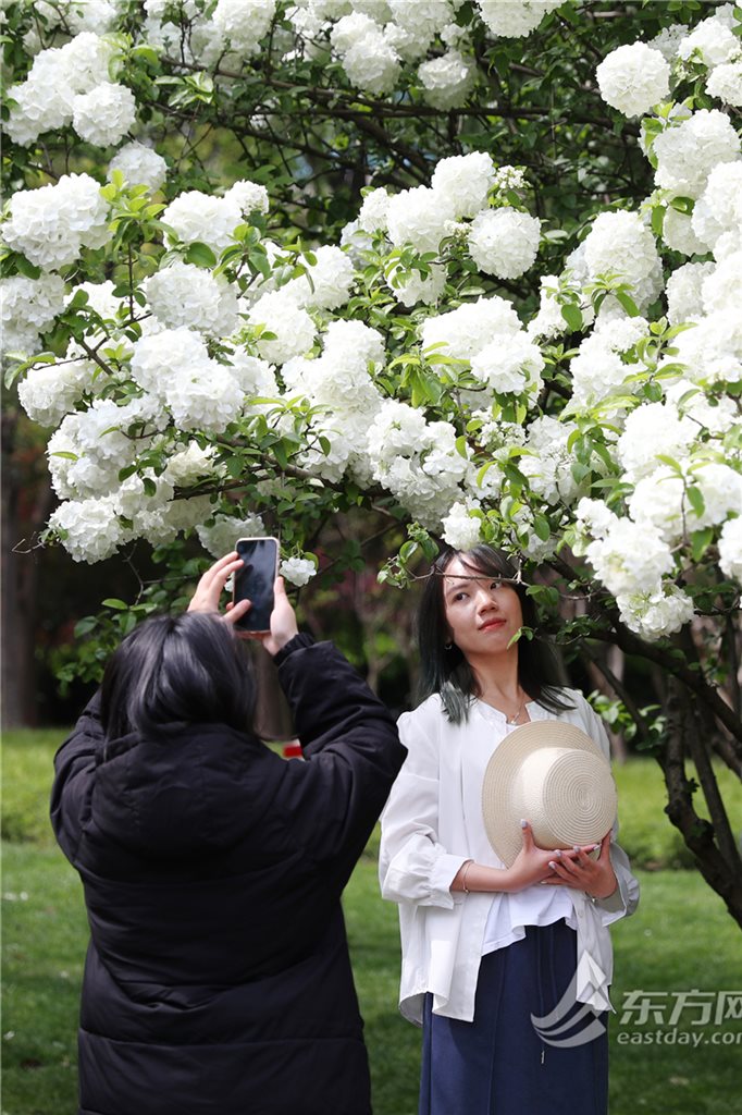 经济新闻滚动>正文>682_1024竖版 竖屏