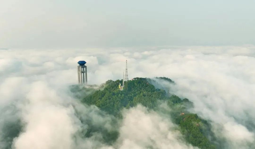 8元/升,来这就对了!|广西_新浪财经_新浪网