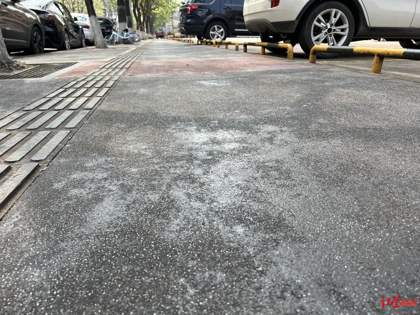 ▲成都市武侯区聚荟街地面上落满了蚜虫排泄物