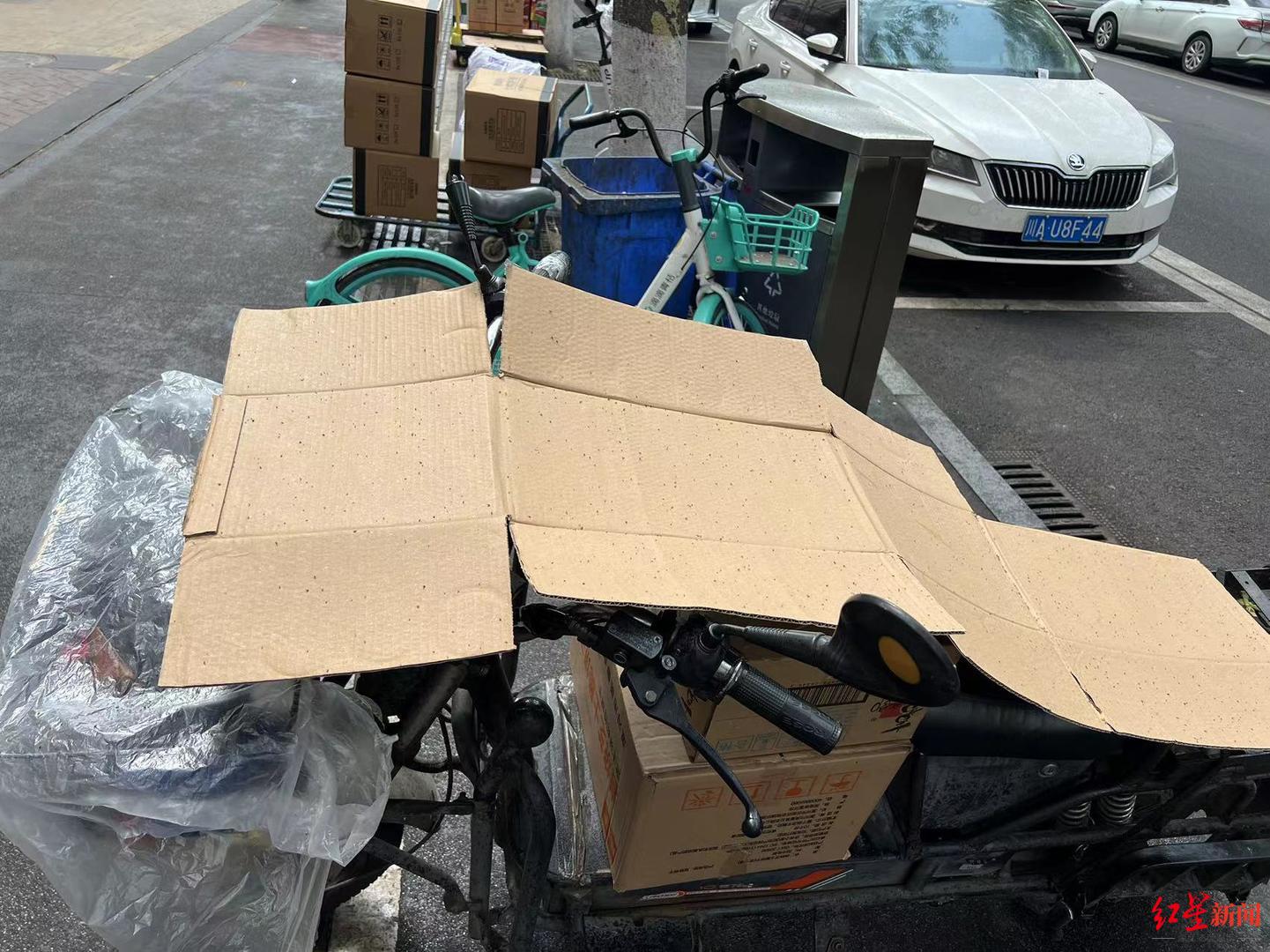 ▲周边商户选择使用硬纸板和塑料纸阻挡蚜虫排泄物