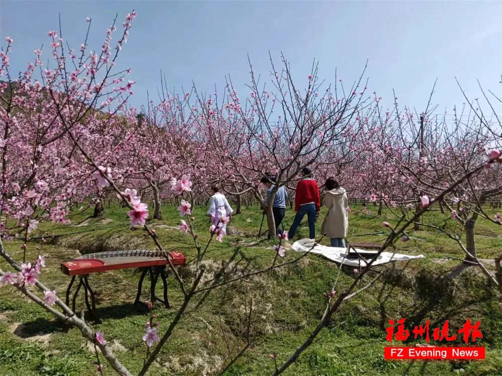 如今的寿桥村赏美景,尝美食……乘坐桃林小火车参加研学活动春季赏花