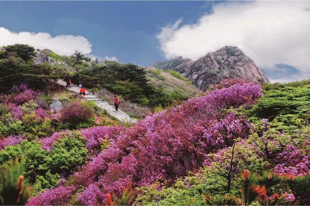 三月三,上22春22山22|烟台市_新浪财经_新浪网