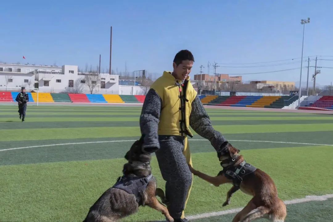李连杰,"00后"辅警,警犬训导员!早安~_新浪财经_新浪网