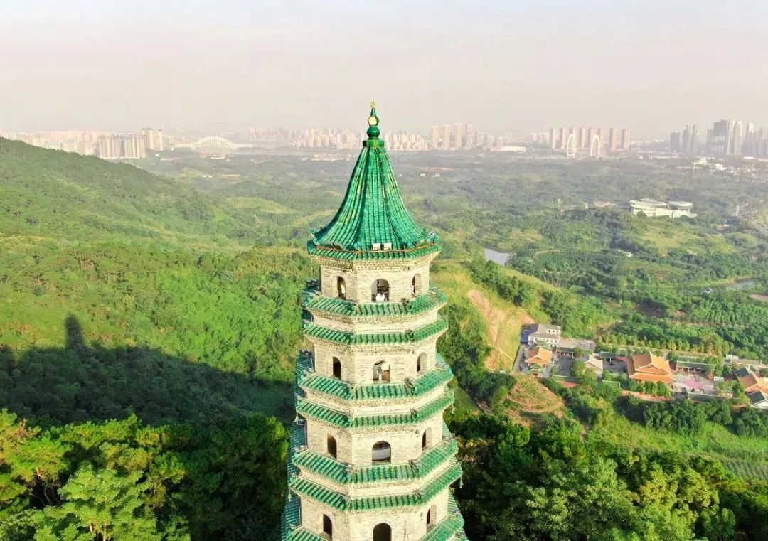 8元/升,来这就对了!|广西_新浪财经_新浪网