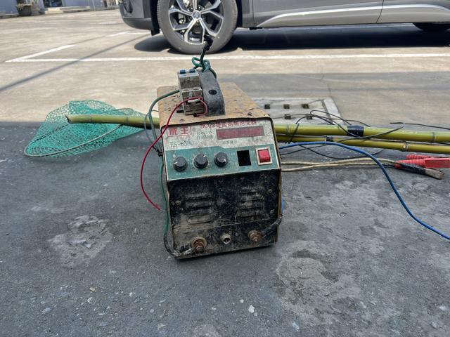 两人深夜电捕鱼,最终难逃法网!_新浪财经_新浪网