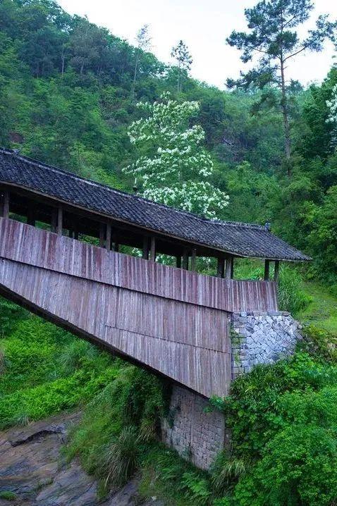 这4条长三角春日骑行路线,在运动中邂逅春天|长三角_新浪财经_新浪网