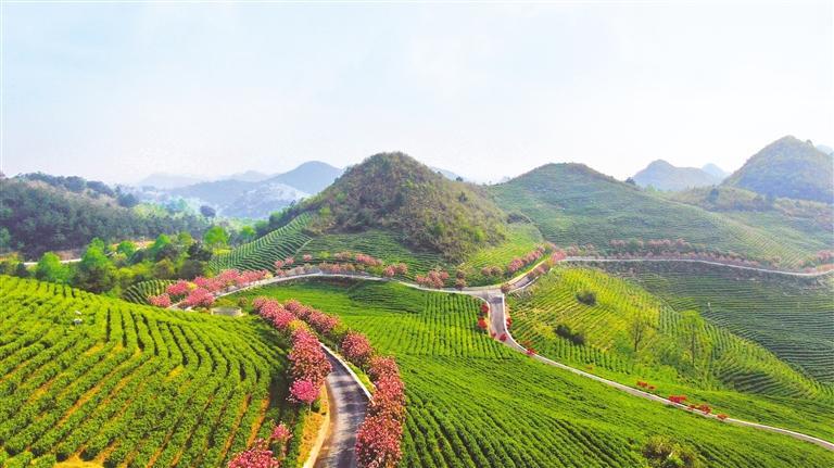 惠水引流密码文体赋能