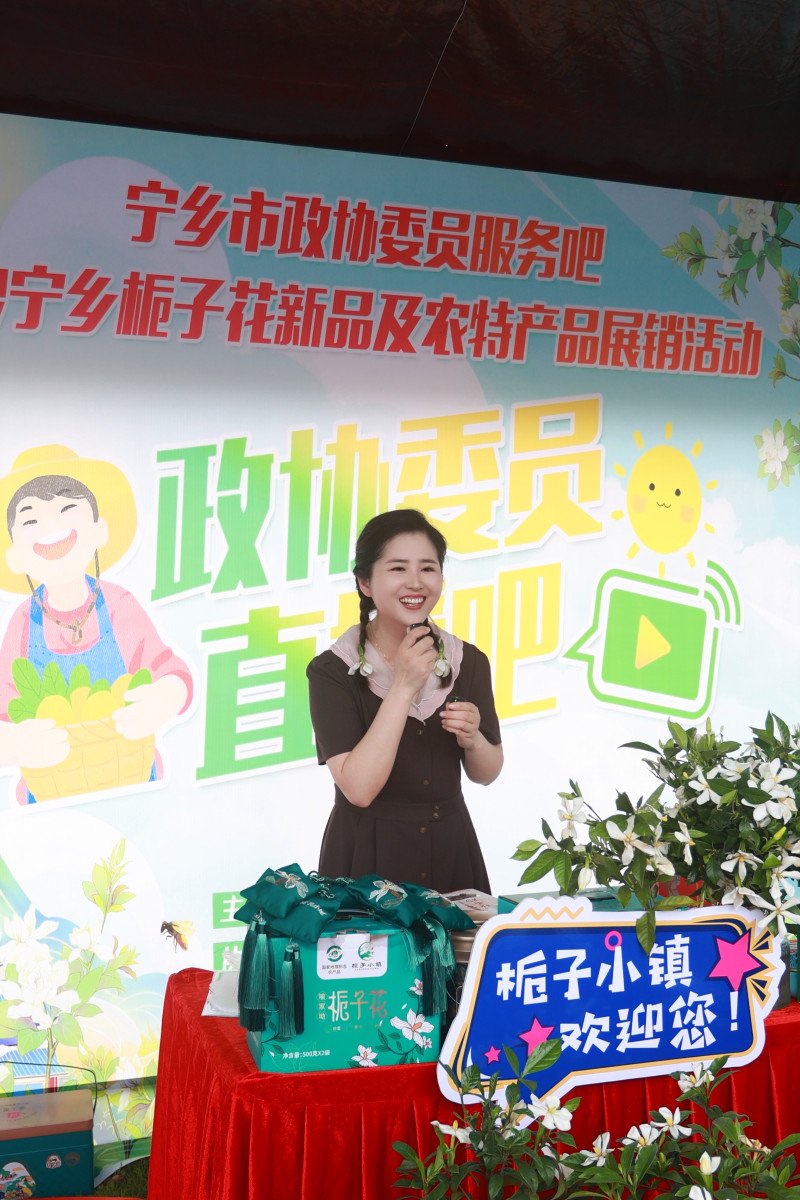 插上网络翅膀,宁乡好货卖全国|直播_新浪财经_新浪网