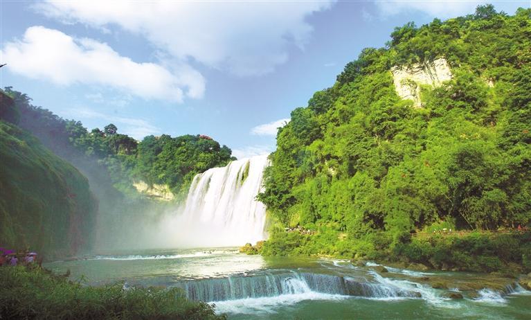 一棵树的使命与担当