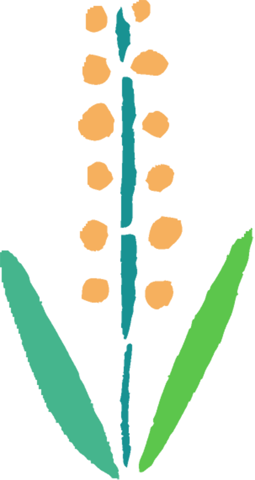 世界爱鼻日:鼻腔疾病预防,重在日常护理_新浪财经_新浪网