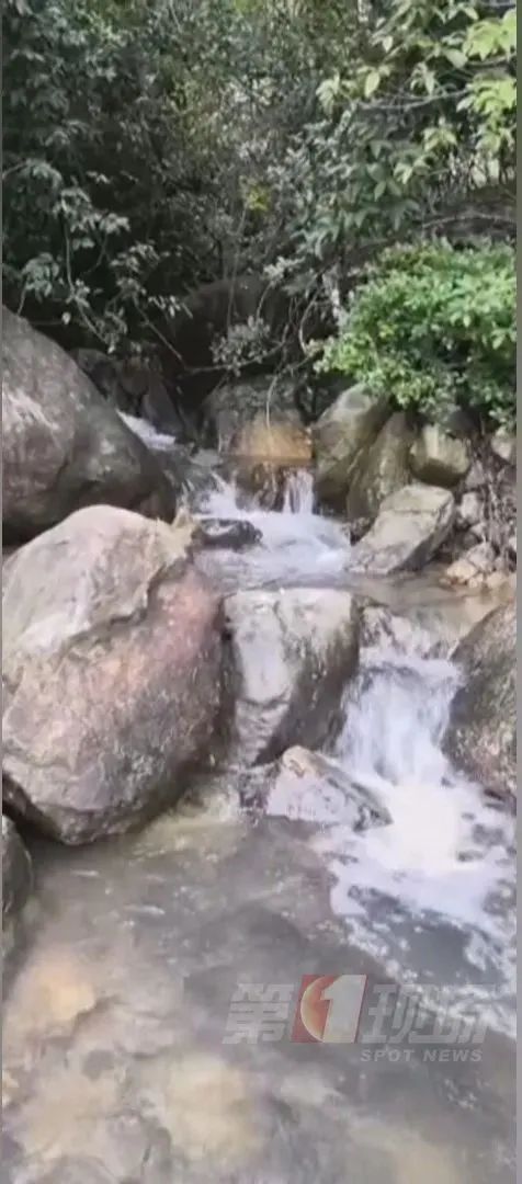 (图源:第一现场)