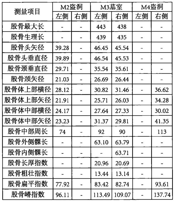 其中,上肢肱骨3根,尺骨5根,桡骨3根,下肢股骨4根,胫骨5根.
