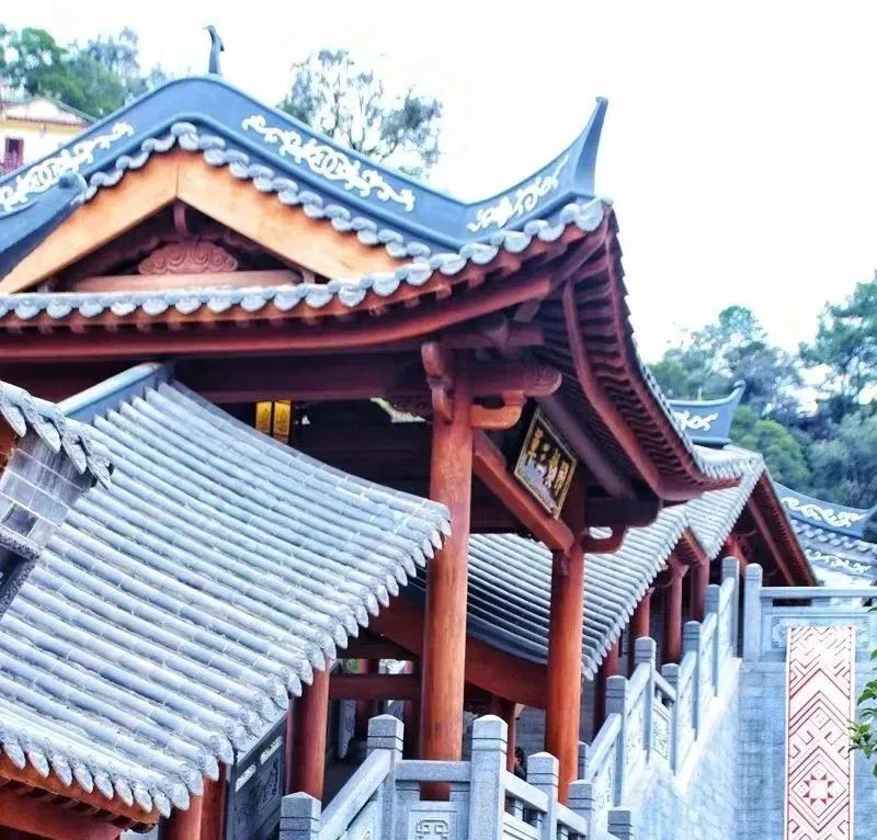 8元/升,来这就对了!|广西_新浪财经_新浪网