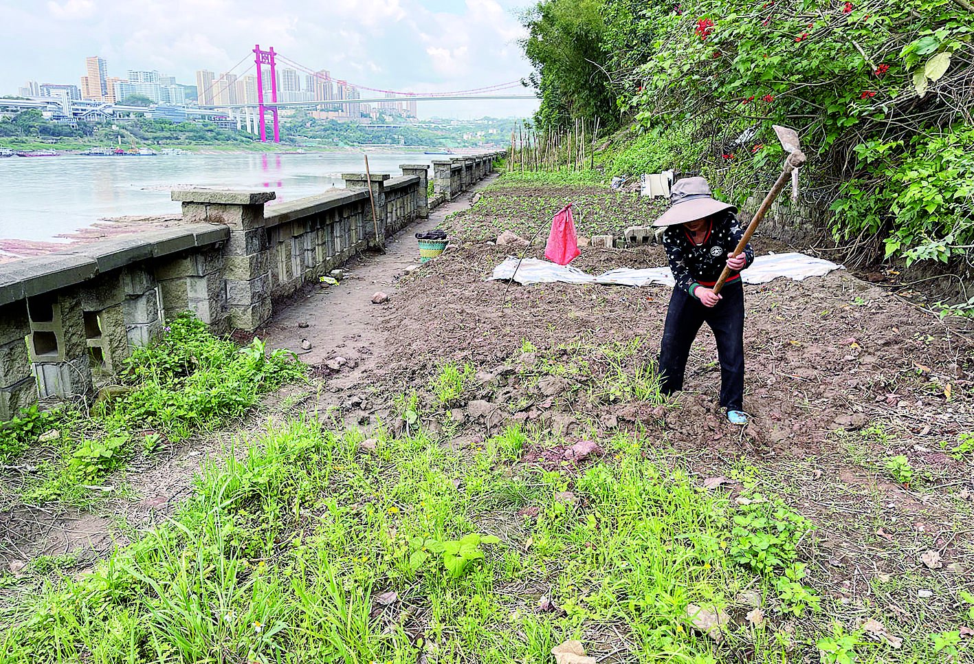 疯狂的"菜园子"|护坡_新浪财经_新浪网