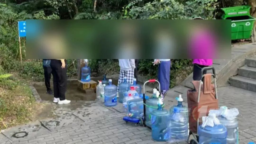 (图源:第一现场)
