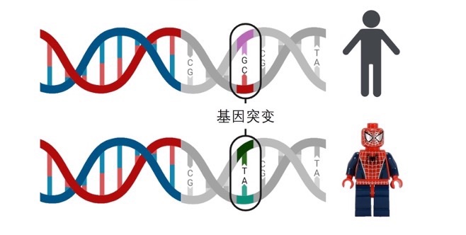 科普|癌症会遗传吗?