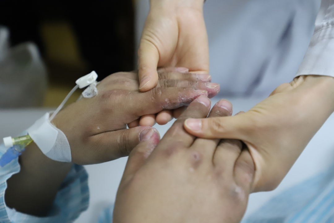 壁纸 花 桌面 1080_719