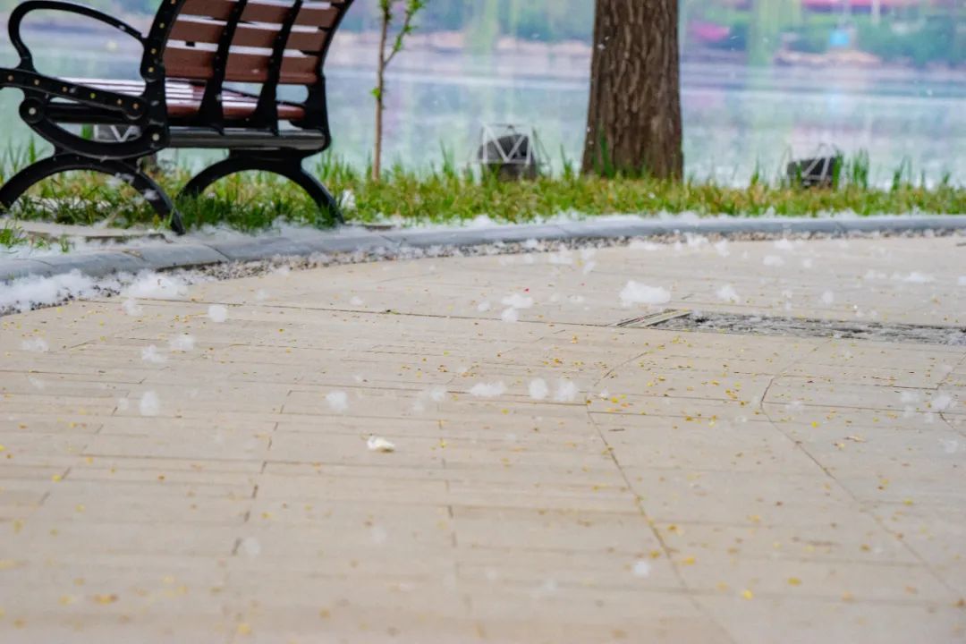 (图片来源丨图虫创意)此外,外出返回后应先洗手,同时清洗鼻腔和面部