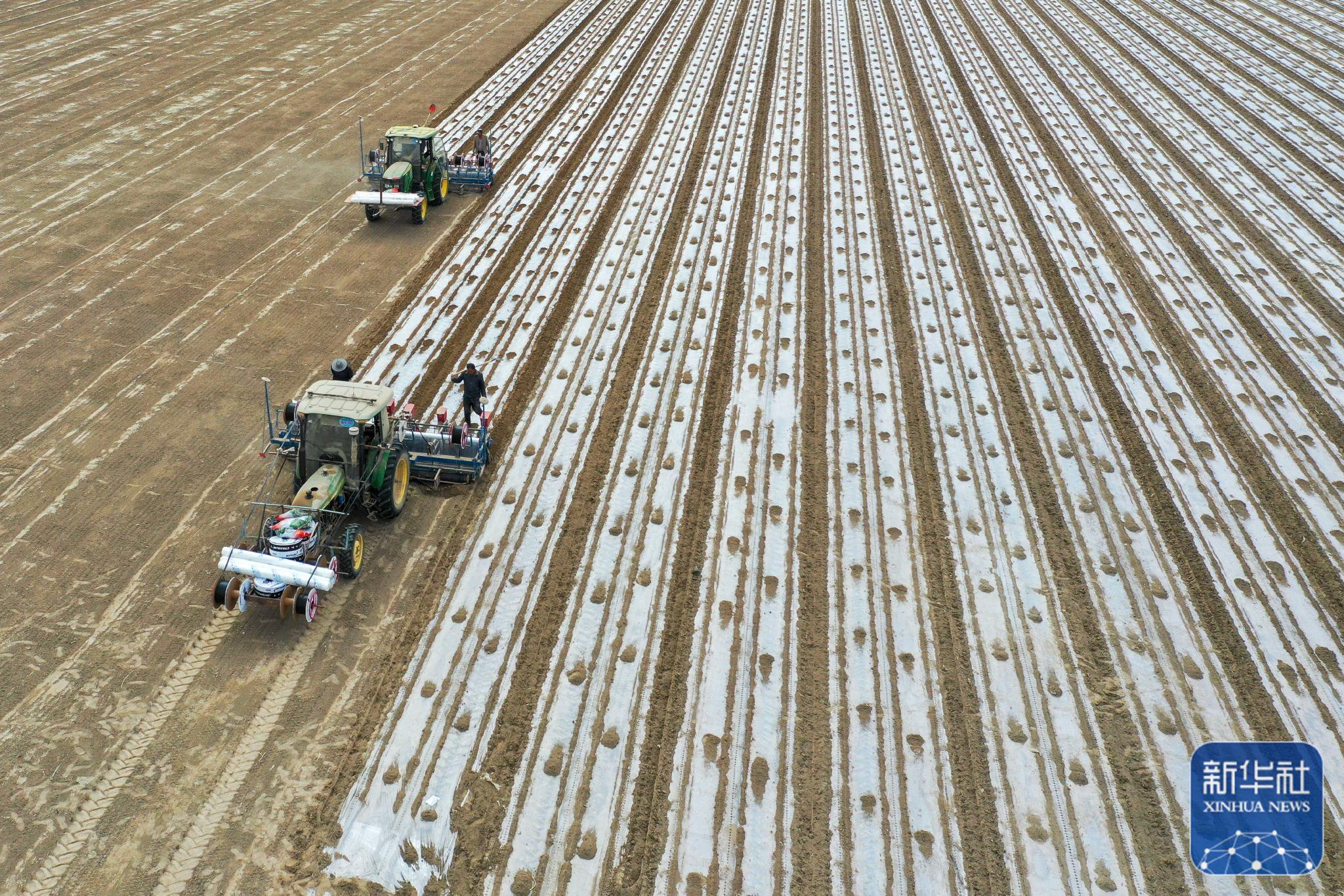 智慧农机"打头阵",新疆棉花播种大场面又来"治愈"你了!