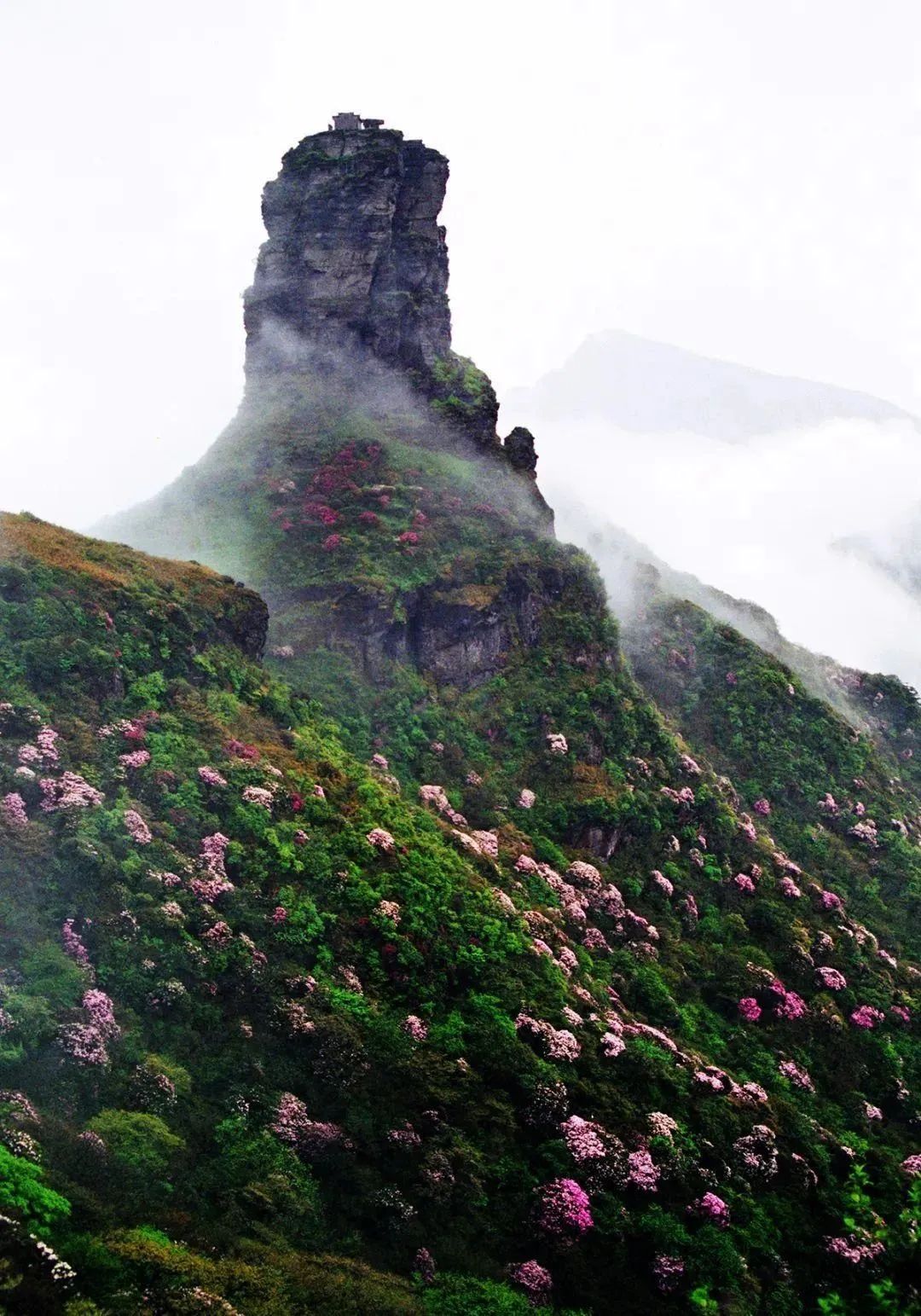 梵净山 图源:梵净山景区