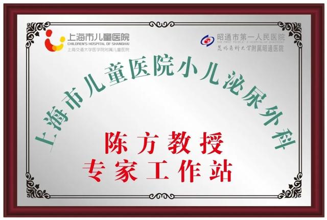 活动当天,来自上海市儿童医院的专家们分组到昭通市第一人民医院住院