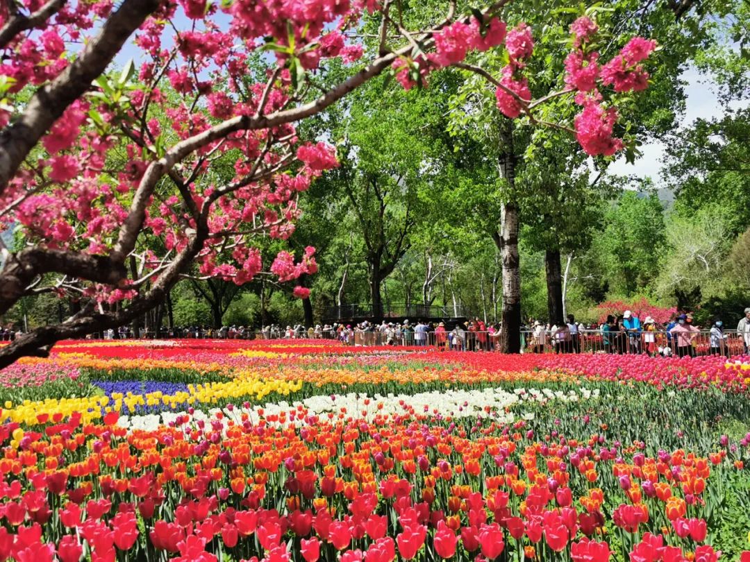 【市场概览】前日金融市场点评_新浪财经_新浪网