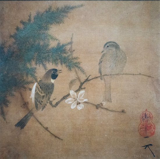 宋人没有照相机,用花鸟画再现博物世界|花鸟画_新浪财经_新浪网