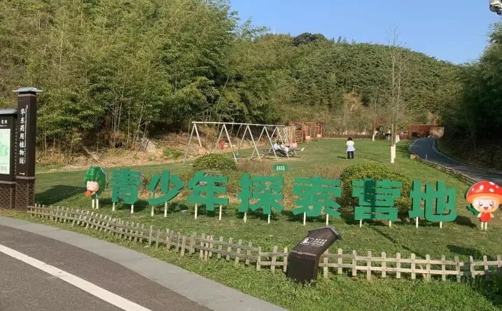 长期饮用杜鹃花茶,可以使皮肤变得更加细嫩,面色红润,并有助于调节