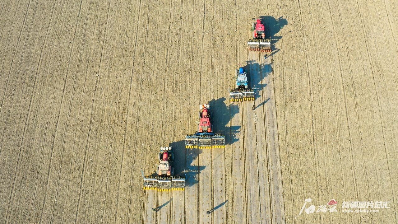 智慧农机"打头阵",新疆棉花播种大场面又来"治愈"你了!