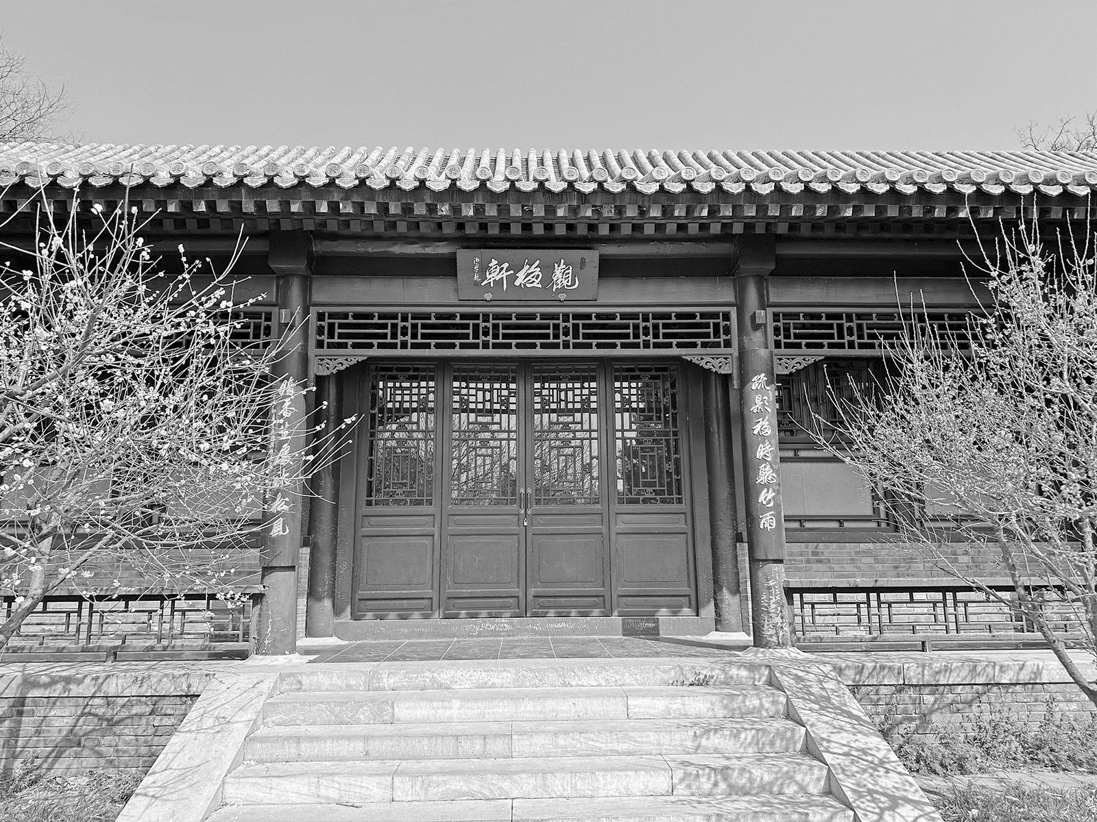 赏花人的小愿望|中国_新浪财经_新浪网