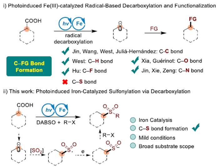 1200_新浪财经_新浪网