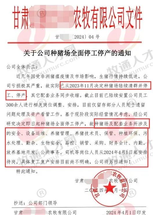 丹麦人在华猪企亏损破产,知名猪企发停工通知,新希
