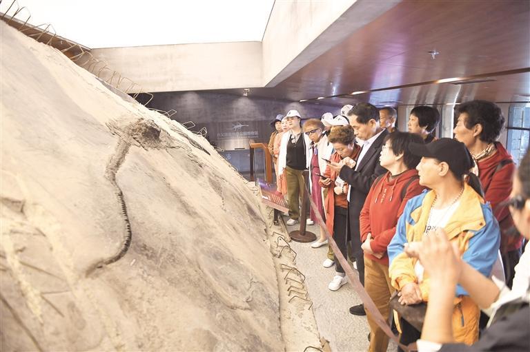 游客在兴义国家地质公园博物馆参观.