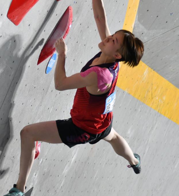 各路高手云集 中国队布局长远_新浪财经_新浪网