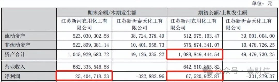 （截自利民股份2022年年报）