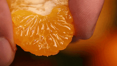 △甜爽多汁的四会沙糖桔