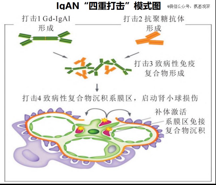 355亿巨额并购,这个医疗赛道起风了|肾病_新浪财经_新浪网