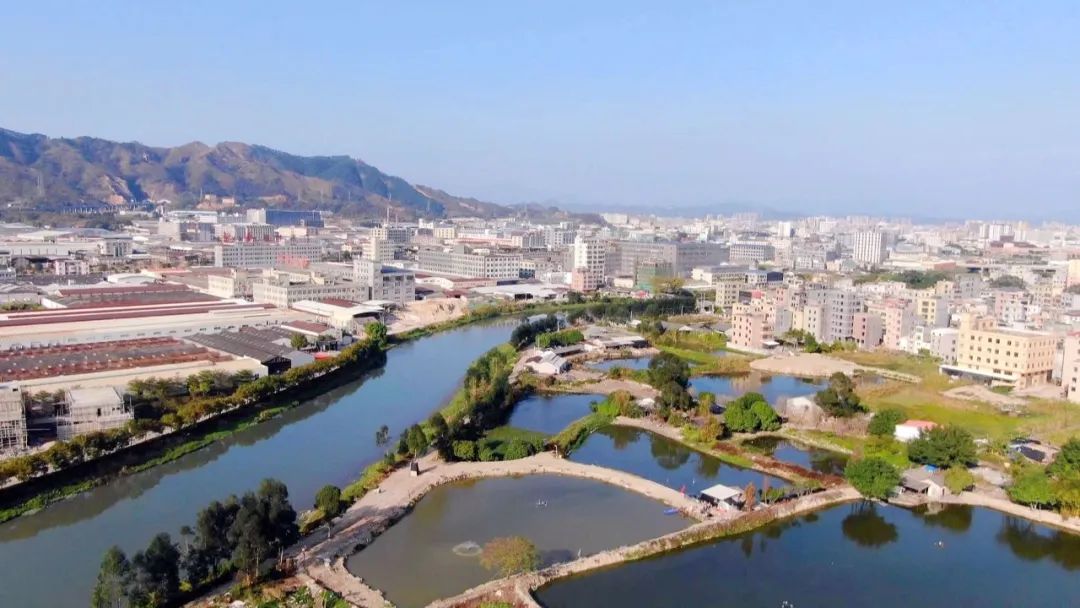 推进水环境整治 枫江深坑国考断面水质稳定达标_新浪财经_新浪网