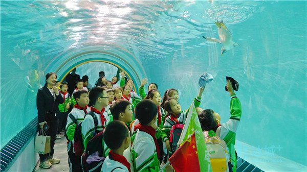 哈尔滨新区花园小学组织学生走进极地公园开展研学活动|哈尔滨市_新浪