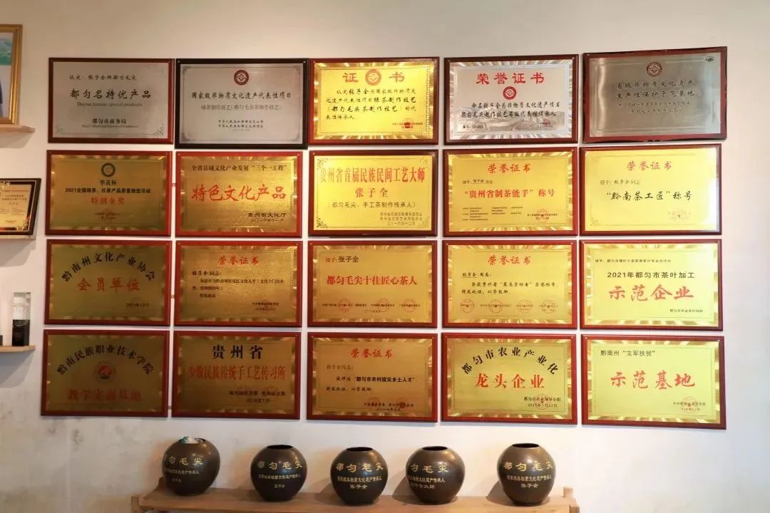 众筹云端的都匀毛尖茶甘蔗般香甜回甘绵绵口粮价喝大师茶