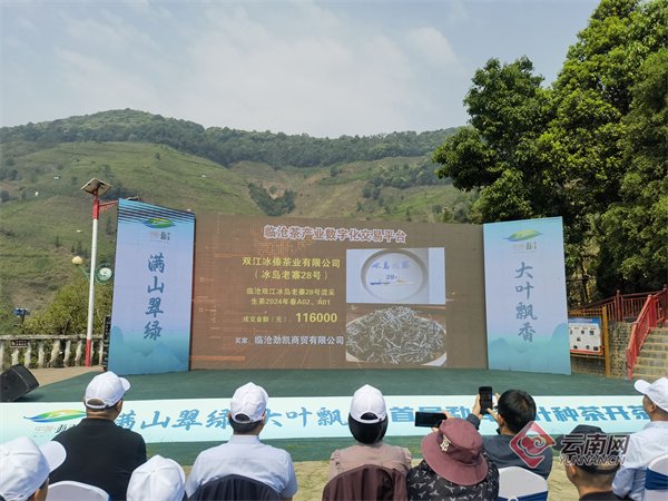 首届勐库大叶种茶开茶节举办|云南省_新浪财经_新浪网
