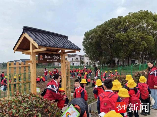常熟市碧溪街道溪南村开展农耕文化教育活动|田野_新浪财经_新浪网