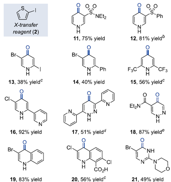 comparison of methods for selective pyridazine deprotonative