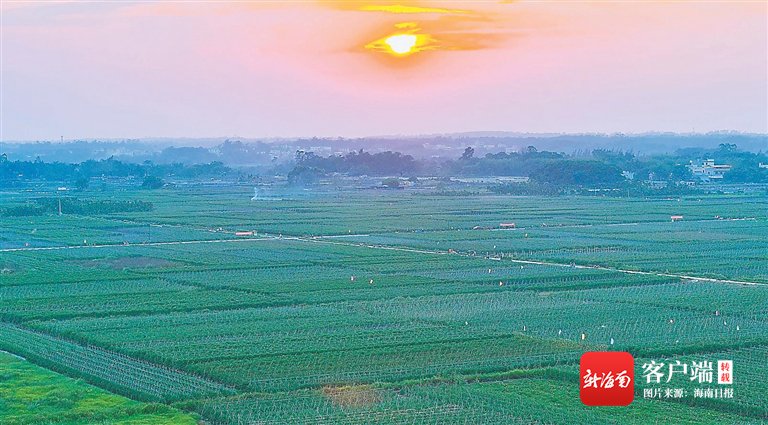 定安:面向高质量发展迈出坚实步伐|海南省_新浪财经_新浪网