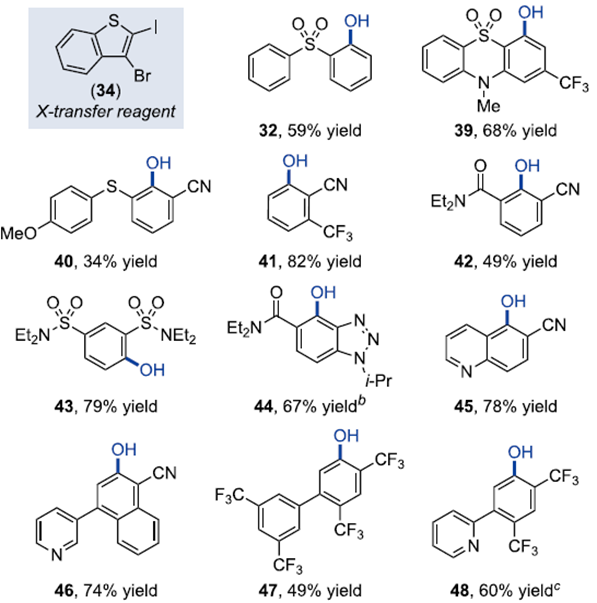 comparison of methods for selective pyridazine deprotonative