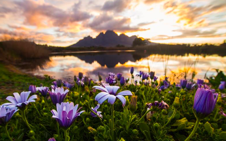 开普敦自然风光.图/南非旅游局供图